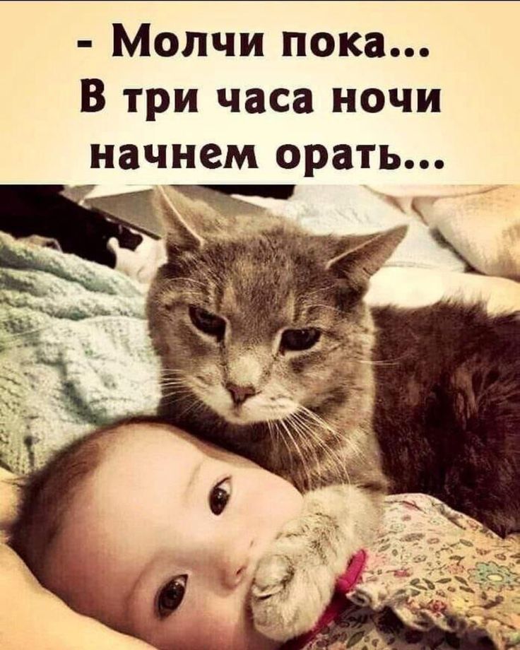 Молчи пока В три часа ночи начнем орать