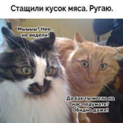 Стащипи кусок мяса Ругаю
