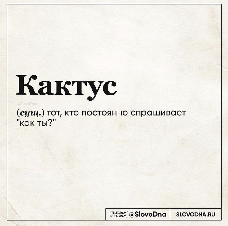 Кактус сущ тот кто постоянно спрашивает кок ты Хёёіёёшочовпп зючовмдли