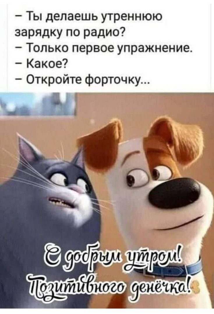 Ты делаешь утреннюю зарядку по радио Только первое упражнение Какое Откройте форточку Щі тйбного 4