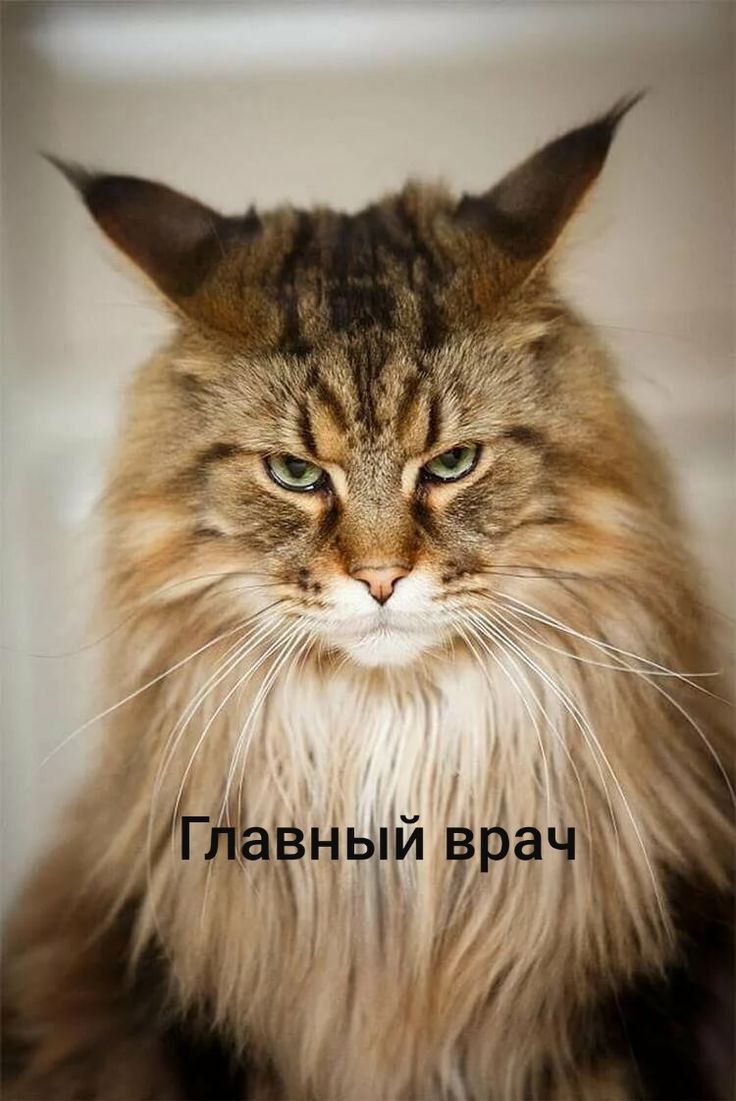 55 НЫ й в р а ЧУ