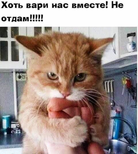 Хоть вари нас вместе Не отдам