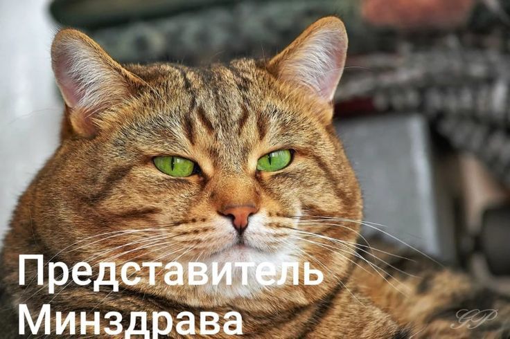 Пре _ Мин3драва