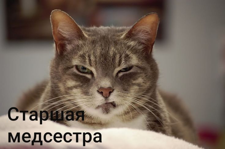 медсестра
