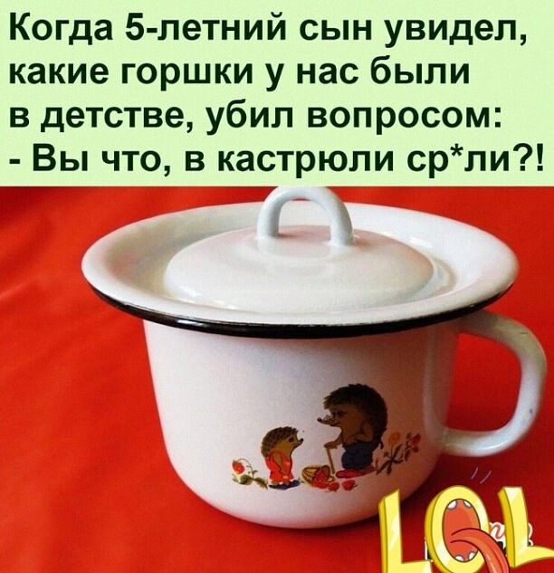 Когда 5 летний сын увидел какие горшки у нас были в детстве убил вопросом Вы что в кастрюли срли