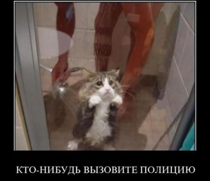 КТО НИБУДЬ ВЫЗОВИТЕ ПОЛИЦИЮ