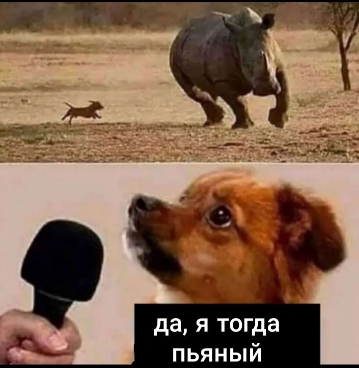 да я тогда пьяный