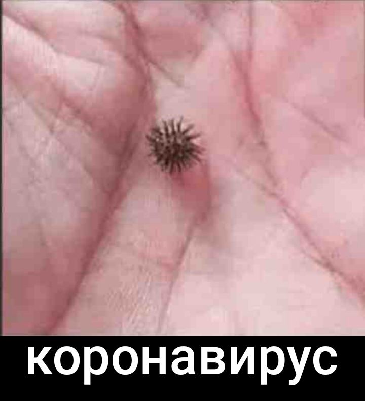 коронавирус