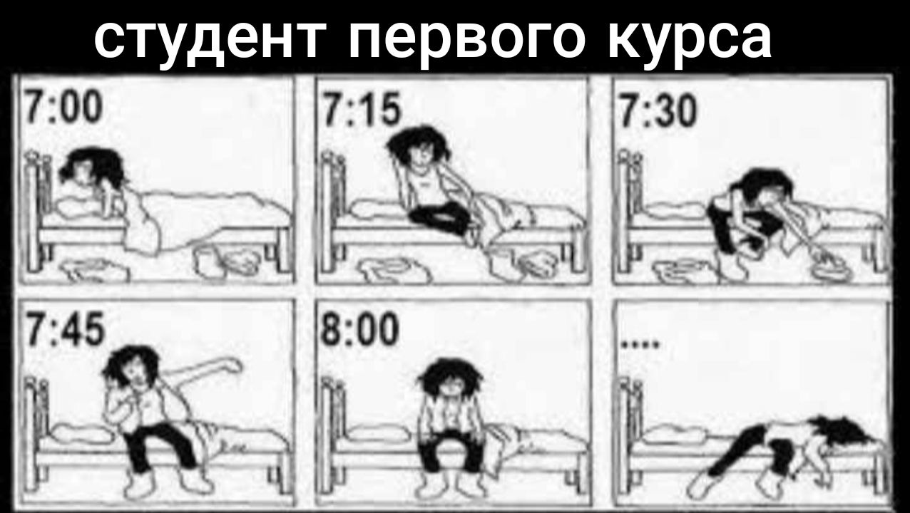 студент первого курса
