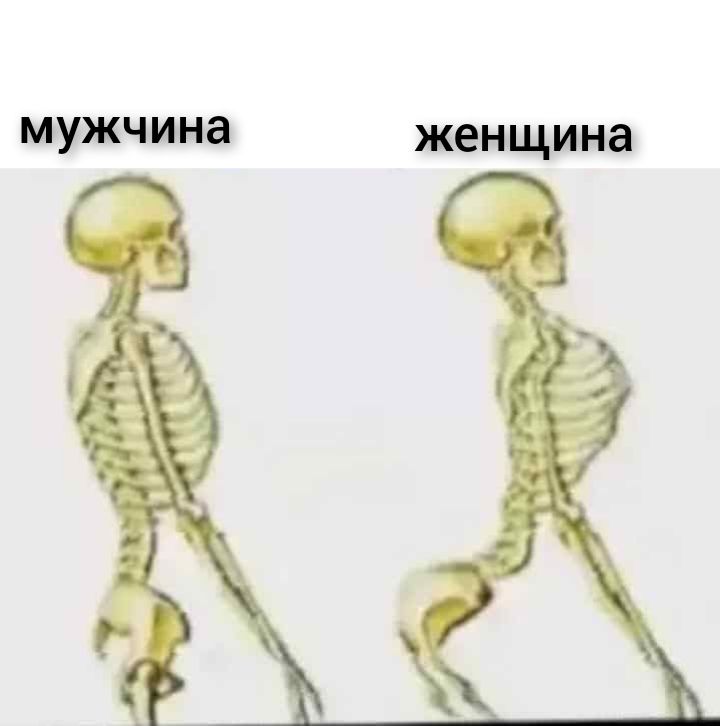 мужчина женщина