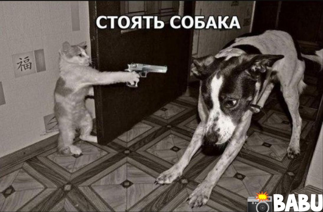 1 _ 9 стрять сіоьіАКА Р