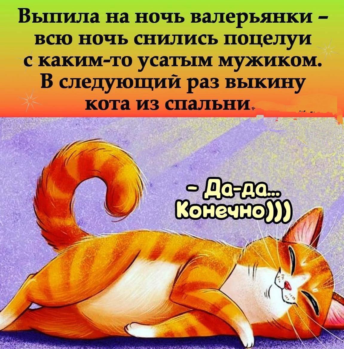 Выпила на ночь валерьянки всю ночь снились поцелуи с каким то усатым мужиком В следующий раз выкину кота из спальни и _ к Конечно