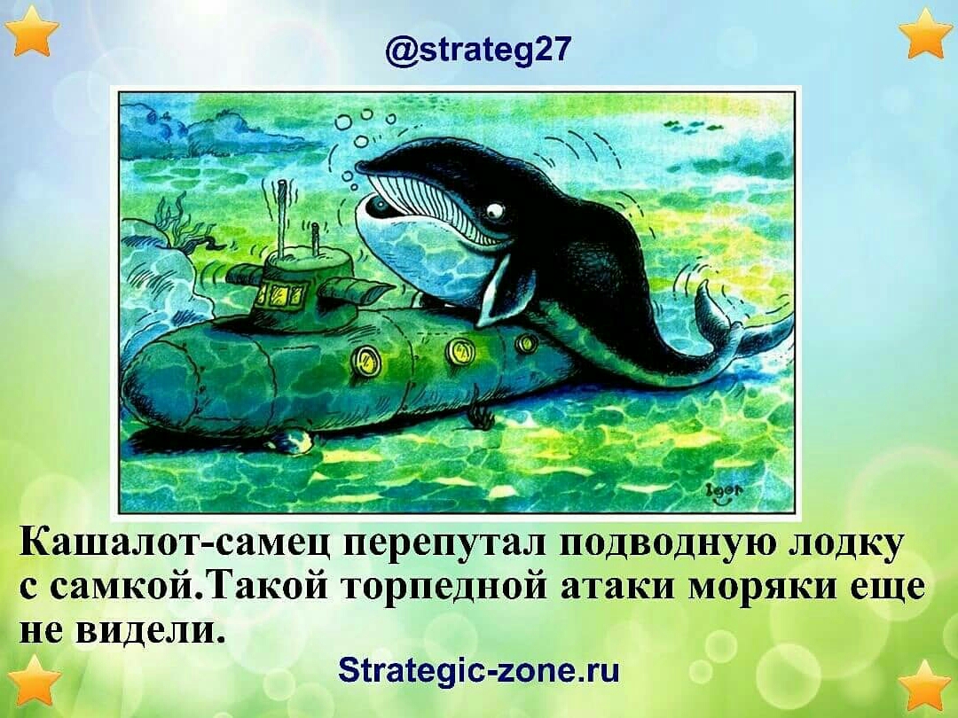 зтгаіе927 Кашалот самец перепутал подводную лодку с самкойТакой торпедной атаки моряки еще не видели зтгатеуіс гопежц