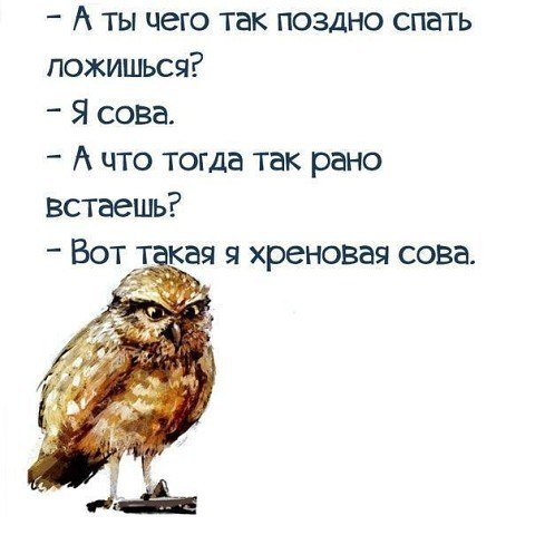 А ты чего так поздно спать пожишься Я сова А что тогда так рано встаешь Вот кая я хреновая сова