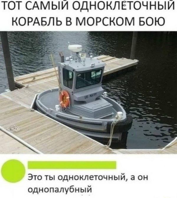 ТОТ САМЫЙ ОДНОКЛЕТОЧНЫЙ КОРАБЛЬ В МОРСКОМ БОЮ Это ты одноклеточный а он однопапубный