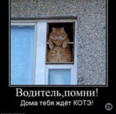 Водительломни дт тебя ждет КОТЭ