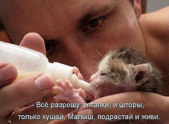 __ Всё разрешу у только 5321 подрастай и живи