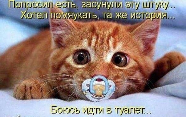 шгуку _ кать та же иёг БОЮСЬ ИДГИ Е ТУЕН