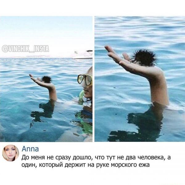 Аппа До меня не сразу дошло что м не два человека в один который держит на руке мирского ежа