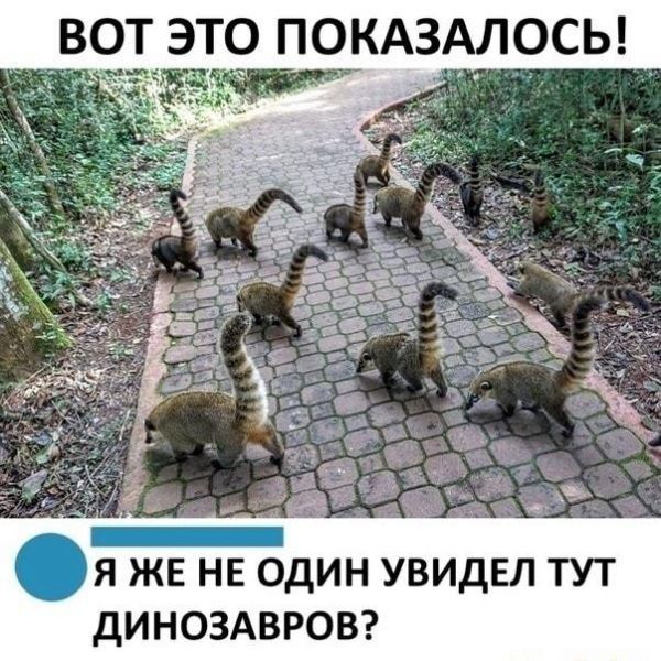 ВОТ ЭТ9 ПОКАЗАЛОСЬ я же не один увидел тут дИНОЗАВРОВ