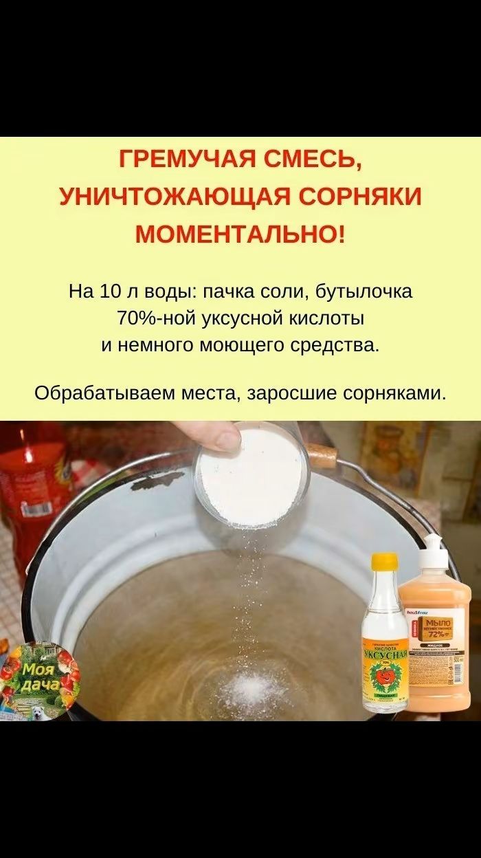 На 10 л воды пачка соли бутылочка 70гной уксусной кислоты и немного моющего средства обрабатываем места заросшие сорняками