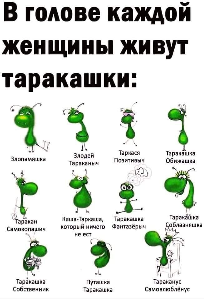 В голове каждой женщины живут таракашки А д _ Т Зло ей апиася Тапакашиа Зпопамяшиа Тараьёиыц ми Обижвшка Ё Чарёкан каНа Таркаша Таракашка ТЭРЗИЗШКЗ Самопопашич кторый ничего Фаитазёрыч Ёеёлазнпшка с не ест Ц Ирака Путашка Тараканус Собственник Таракашка Самовлшбпёнус