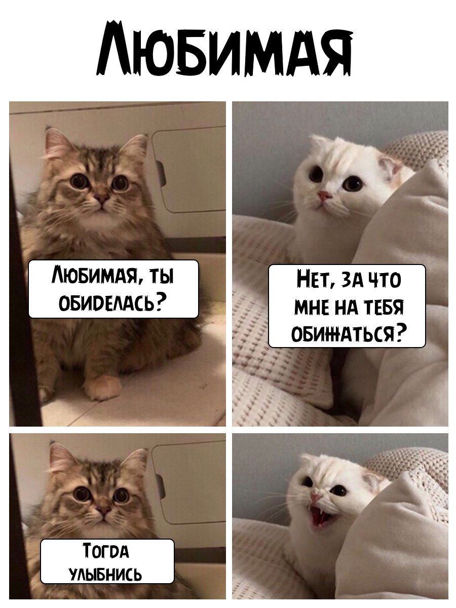 АЮБИМАЯ Аювимдж ты НЕТ ЗА что ОБИВЕААСЬ мне нд ТЕБЯ овинъдться