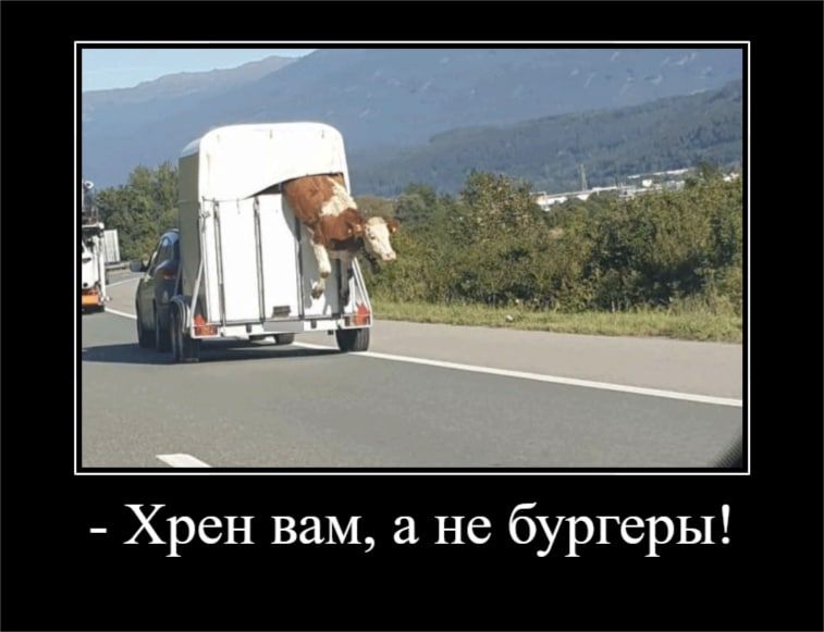 Хрен вам а не бургеры
