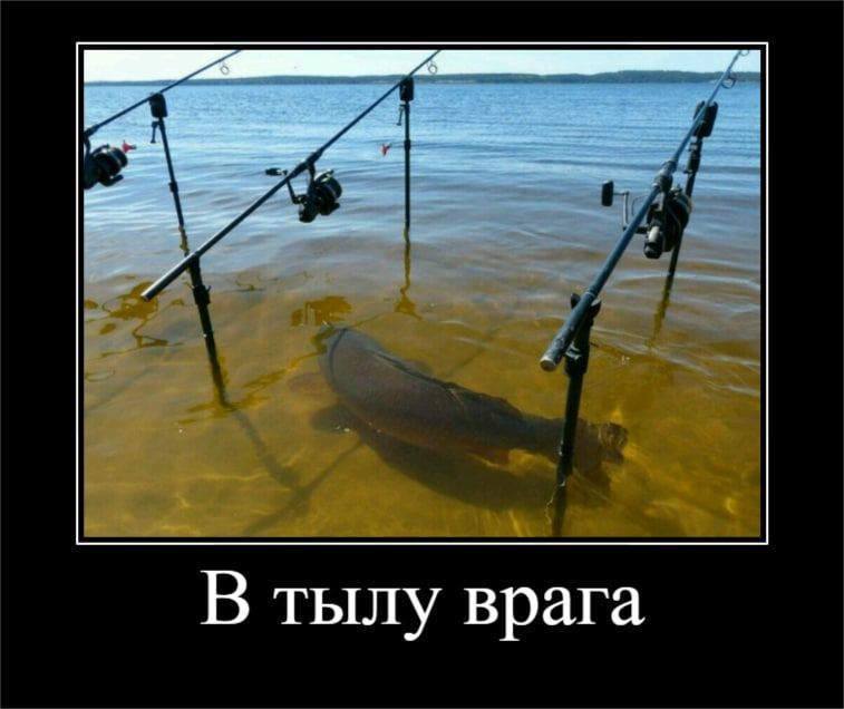 В тылу врага