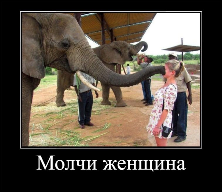 Молчи женщина