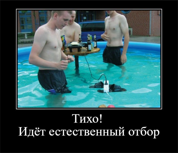 Тихо Идёт естественный отбор
