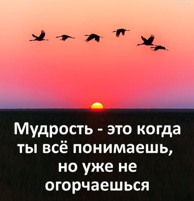 Мудрость это когда ты всё понимаешь но уже не огорчаешься