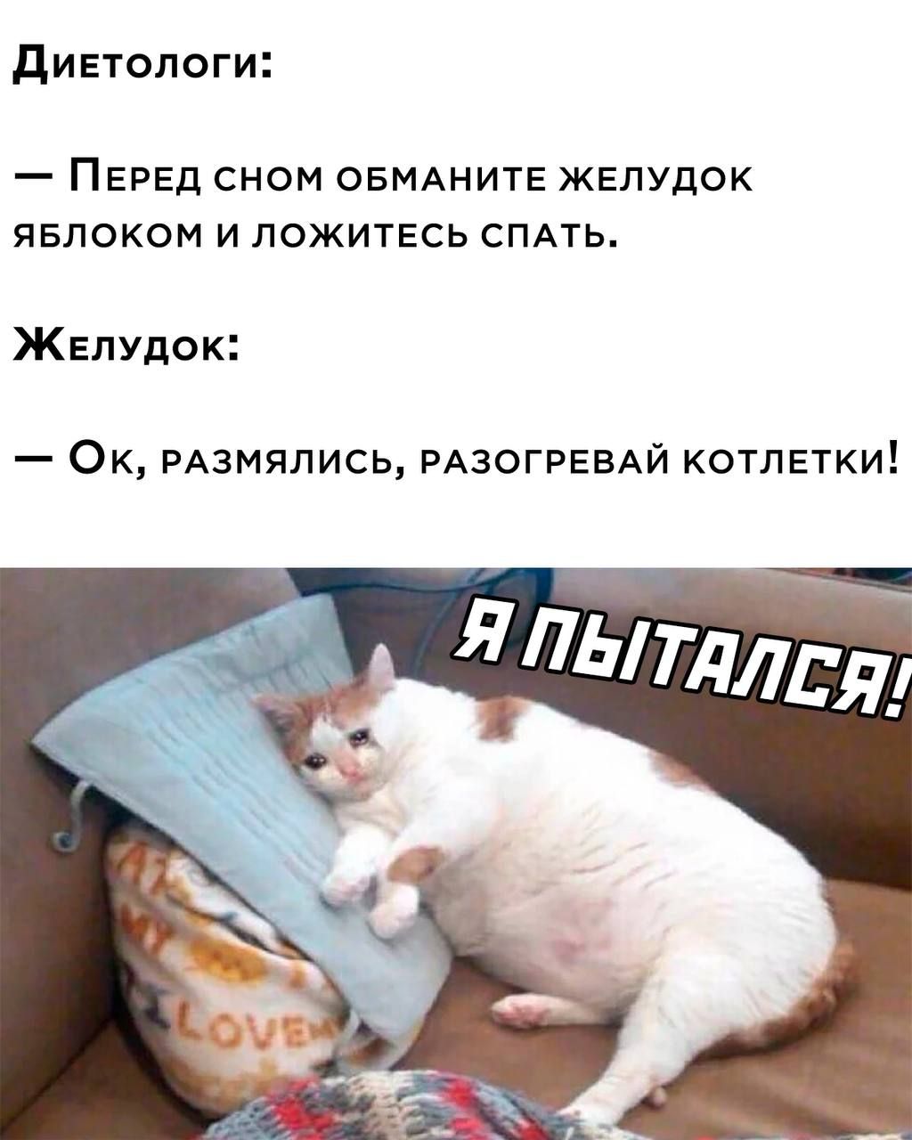 диетологи _ ПЕРЕД СНОМ ОБМАНИТЕ ЖЕЛУдОК ЯБЛОКОМ И ЛОЖИТЕСЬ СПАТЬ Желудок Ок РАЗМЯЛИСЬ РАЗОГРЕВАЙ котлетки