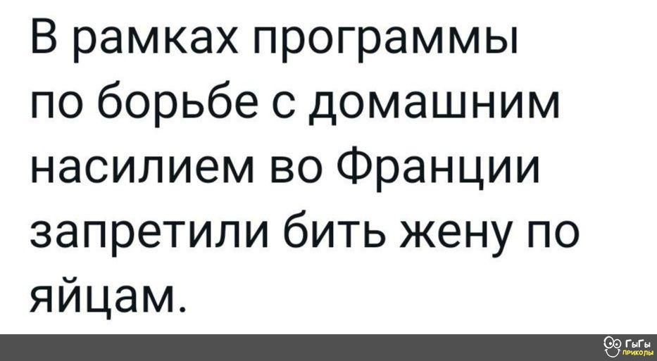 ВрамкахпрограММЬ поборьбесдомашним насилием во Франции запретили бить жену по яйцам _