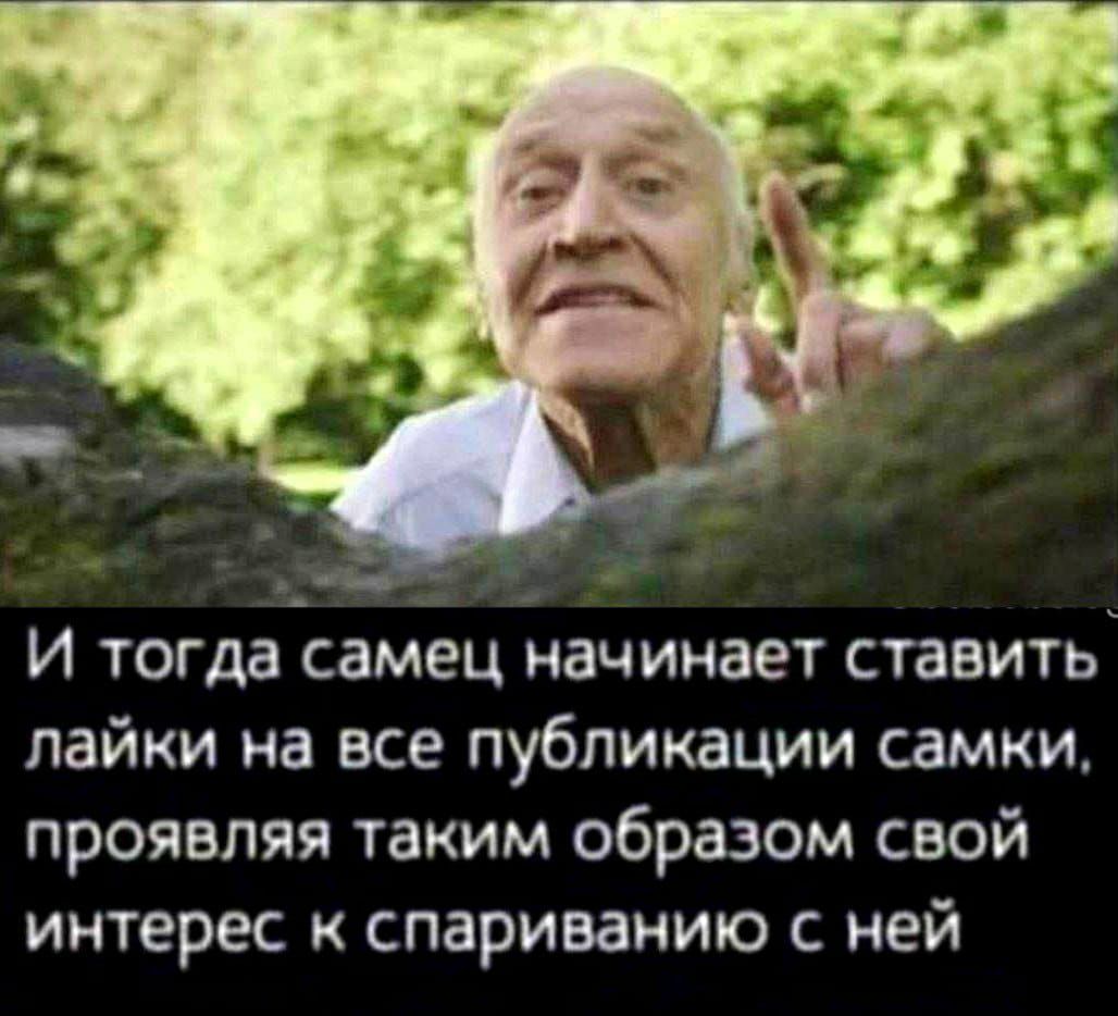 И тогда самец начинает ставить лайки на все публикации самки, проявляя таким образом свой интерес к спариванию с ней