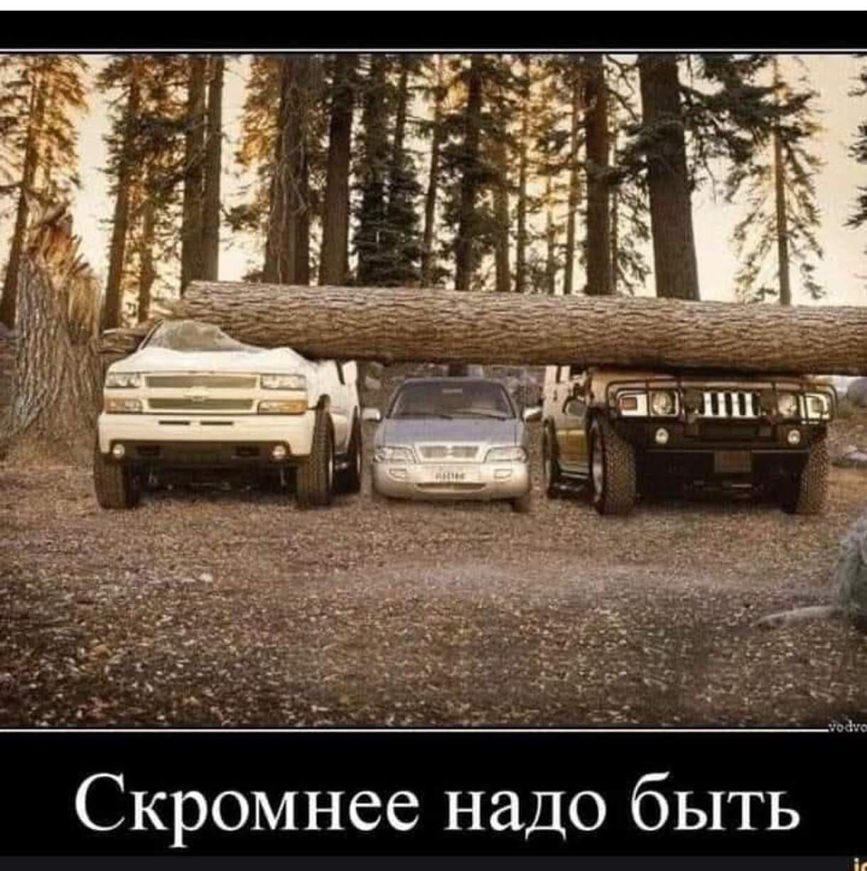 Скромнее надо быть