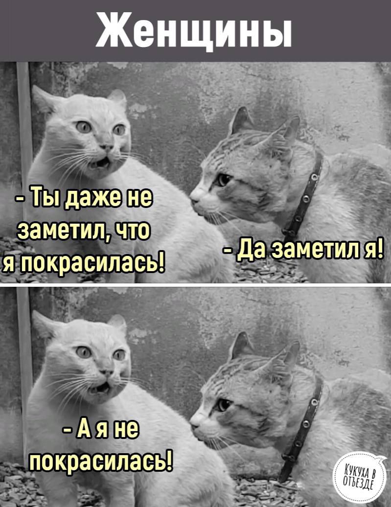 ЖЕНЩИНЫ
- Ты даже не заметил, что я покрасилась!
- Да заметил я!
- А я не покрасилась!