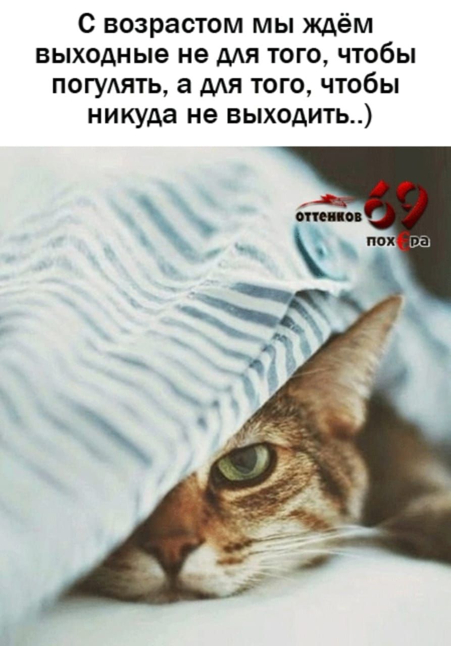 С возрастом мы ждём выходные не для того, чтобы погулять, а для того, чтобы никуда не выходить..)