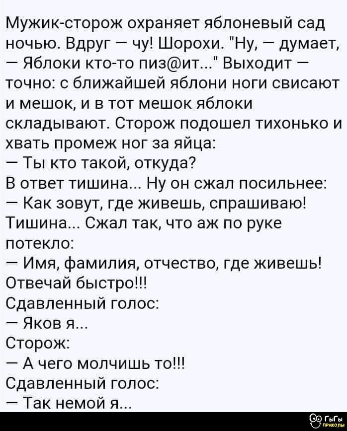 Мужик-сторож охраняет яблоневый сад ночью. Вдруг – чу! Шорохи. 