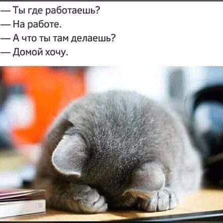 — Ты где работаешь? 
— На работе. 
— А что ты там делаешь? 
— Домой хочу.