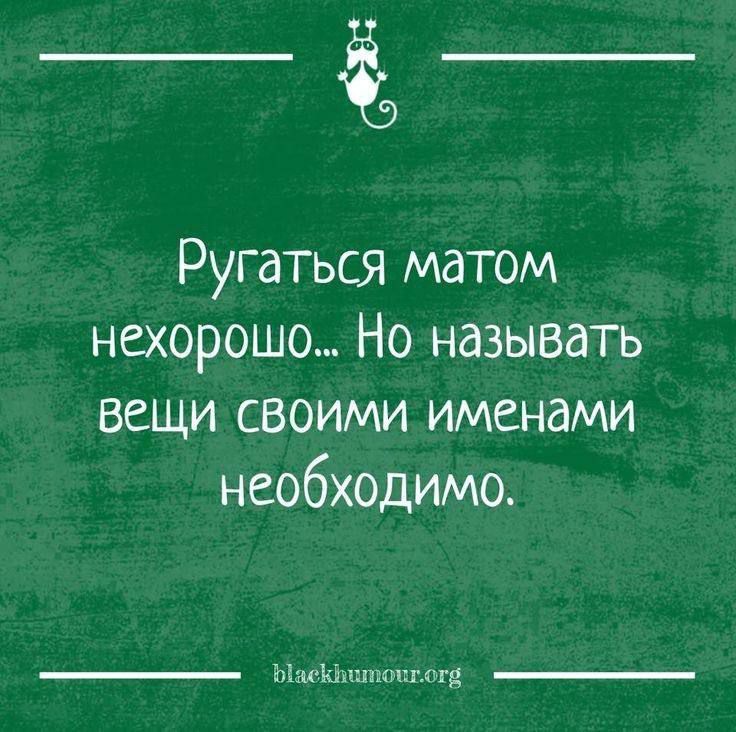 Ругаться матом нехорошо... Но называть вещи своими именами необходимо.