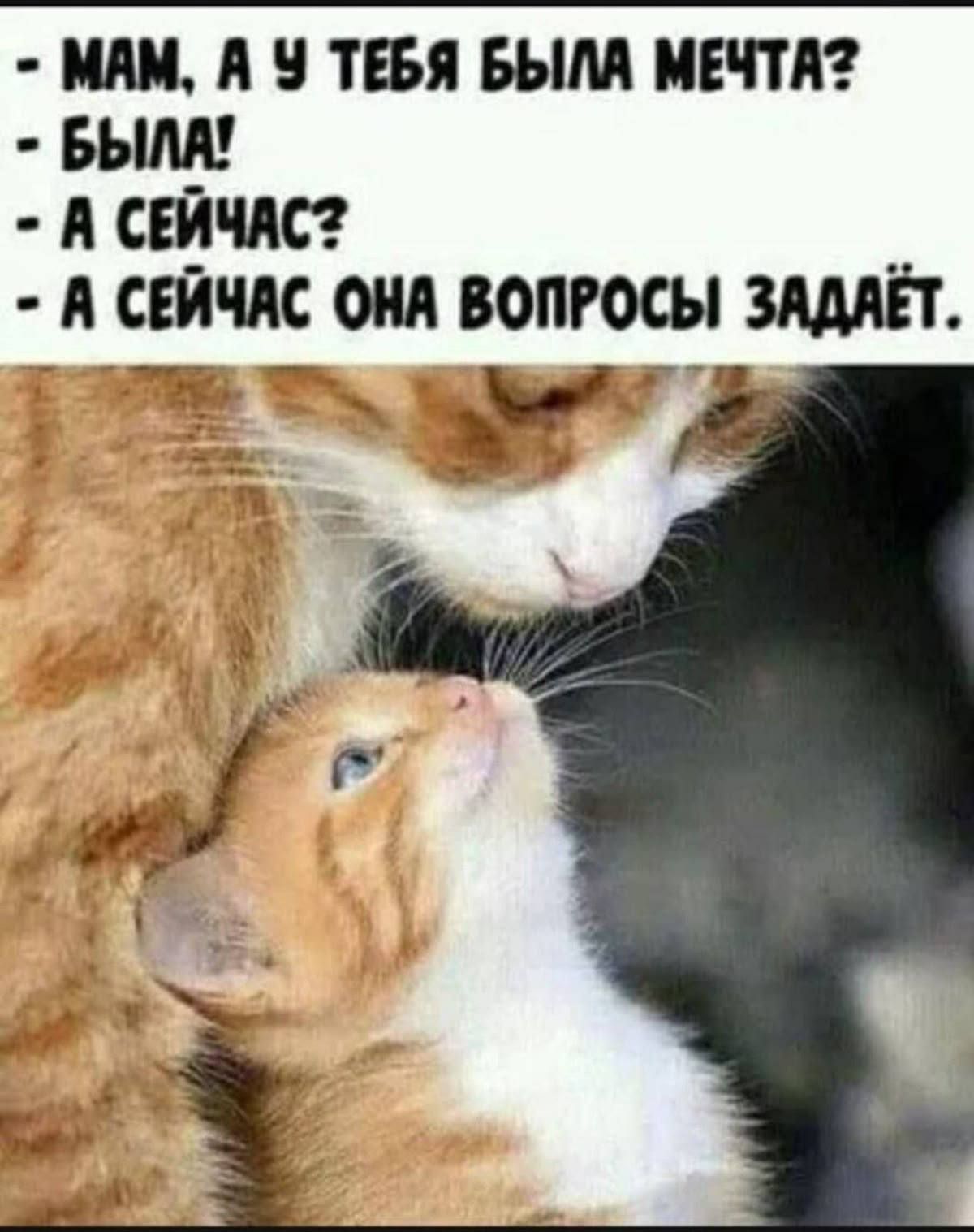Мам, а у тебя была мечта? Была! А сейчас? А сейчас она вопросы задаёт.
