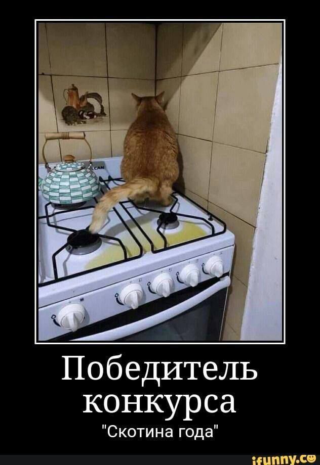 Победитель конкурса 