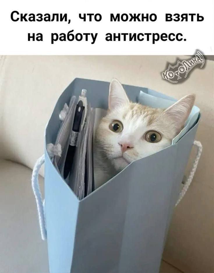 Сказали, что можно взять на работу антистресс.
