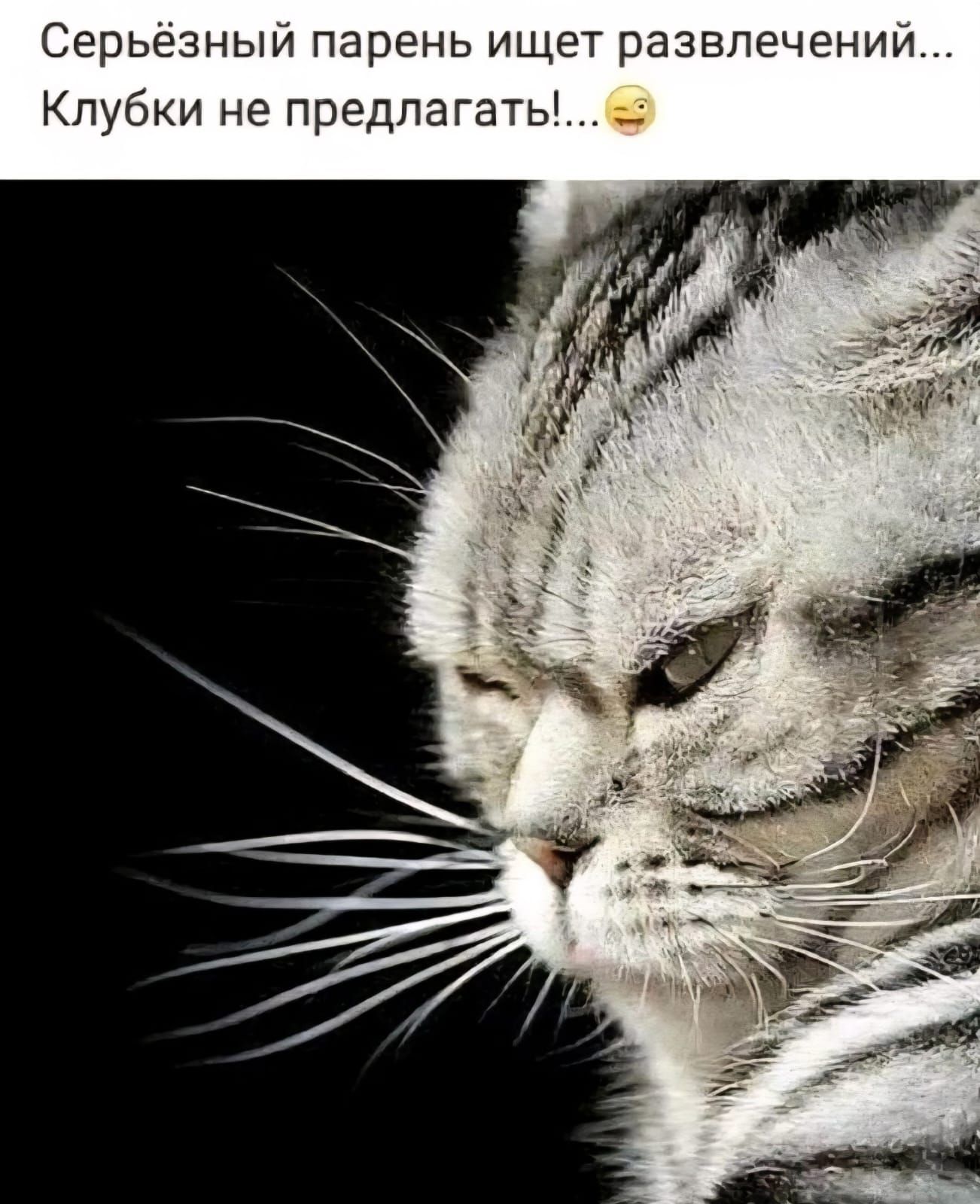 Серьёзный парень ищет развлечений... Клубки не предлагать!...