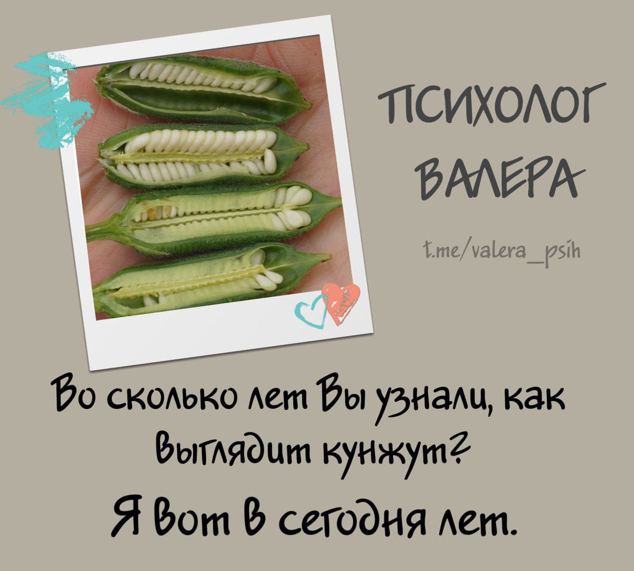 Во сколько лет Вы узнали, как выглядит кунжут? Я вот в сегодня лет.