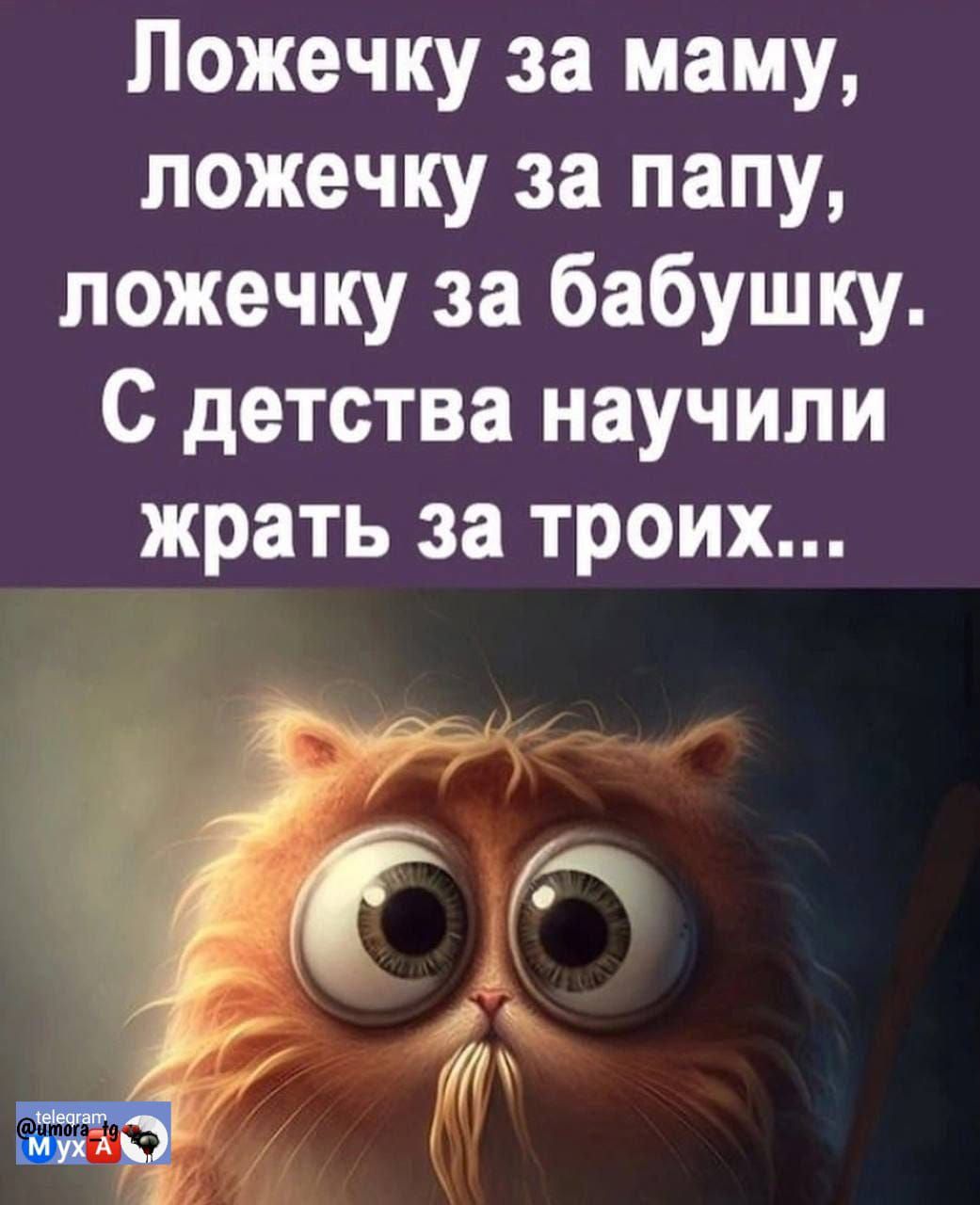 Ложечку за маму, ложечку за папу, ложечку за бабушку. С детства научили жрать за троих...