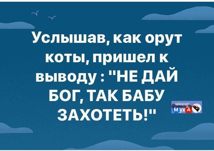 Услышав, как орут коты, пришел к выводу: 