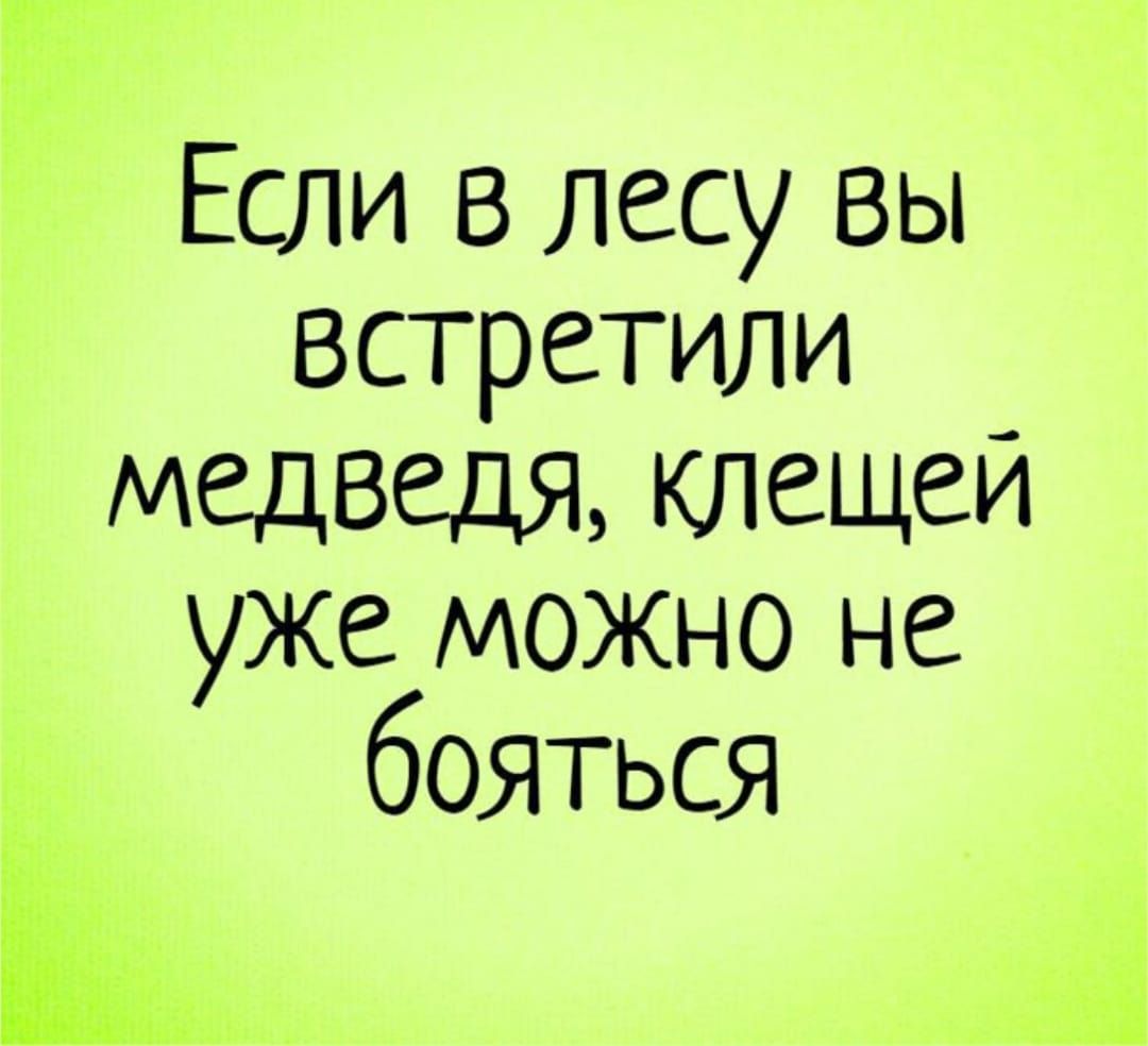 Если в лесу вы встретили медведя, клещей уже можно не бояться