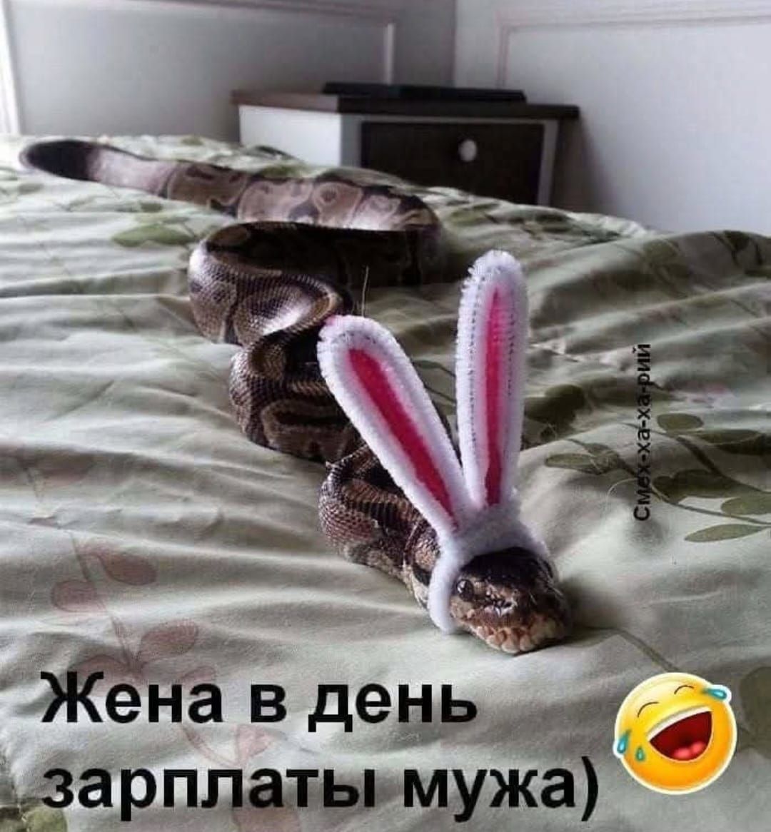 Жена в день зарплаты мужа)